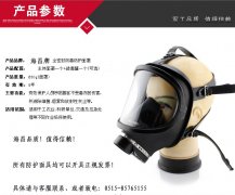 防毒面罩，个人防毒面罩，防毒全面罩，防毒面具